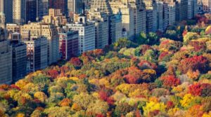 El Jardín Secreto del Central Park