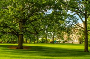 Innovaciones Urbanas y Proyectos de Sostenibilidad en la Ciudad de Nueva York: El Camino Verde Hacia el Futuro
