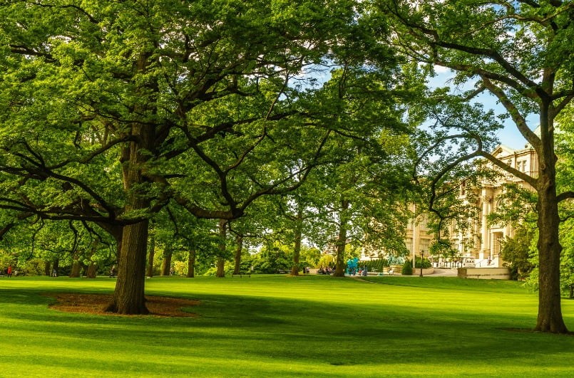 Jardín Botánico de Nueva York