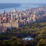 El Mosaico en Movimiento: La Evolución Demográfica de Nueva York a través de los Años