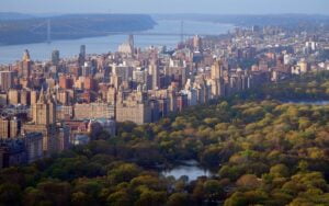 El Mosaico en Movimiento: La Evolución Demográfica de Nueva York a través de los Años