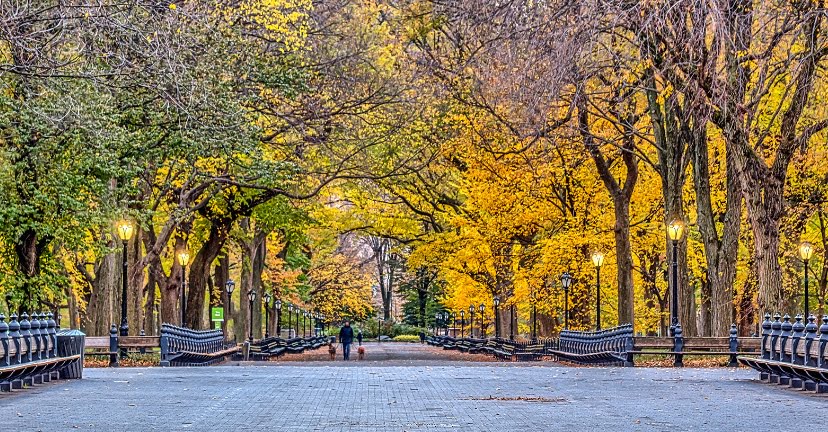 Central Park Mall: Paseo entre Historia y Naturaleza en el Corazón de Manhattan