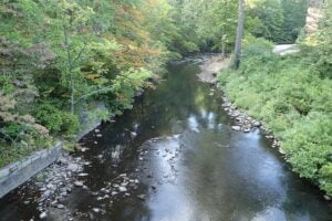 Bronx River