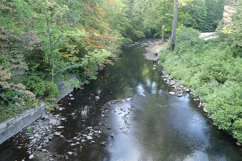 Bronx River Alliance