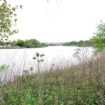 El río Bronx