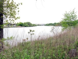El río Bronx