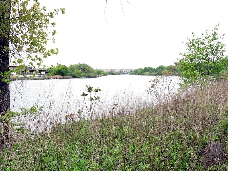 El río Bronx