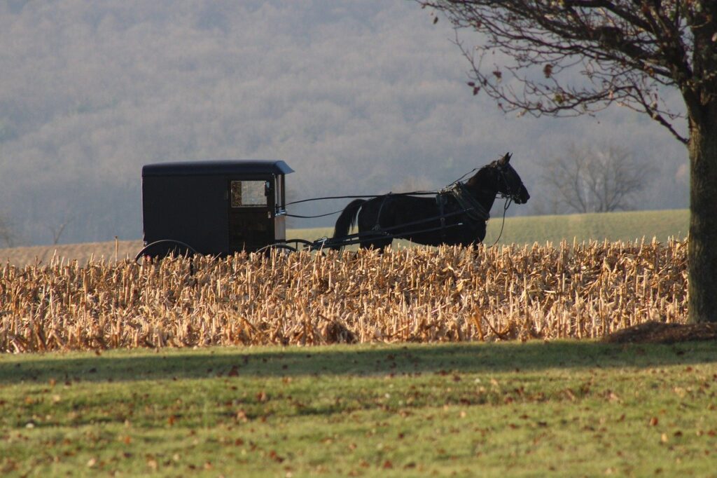 Visitar una comunidad Amish desde Nueva York