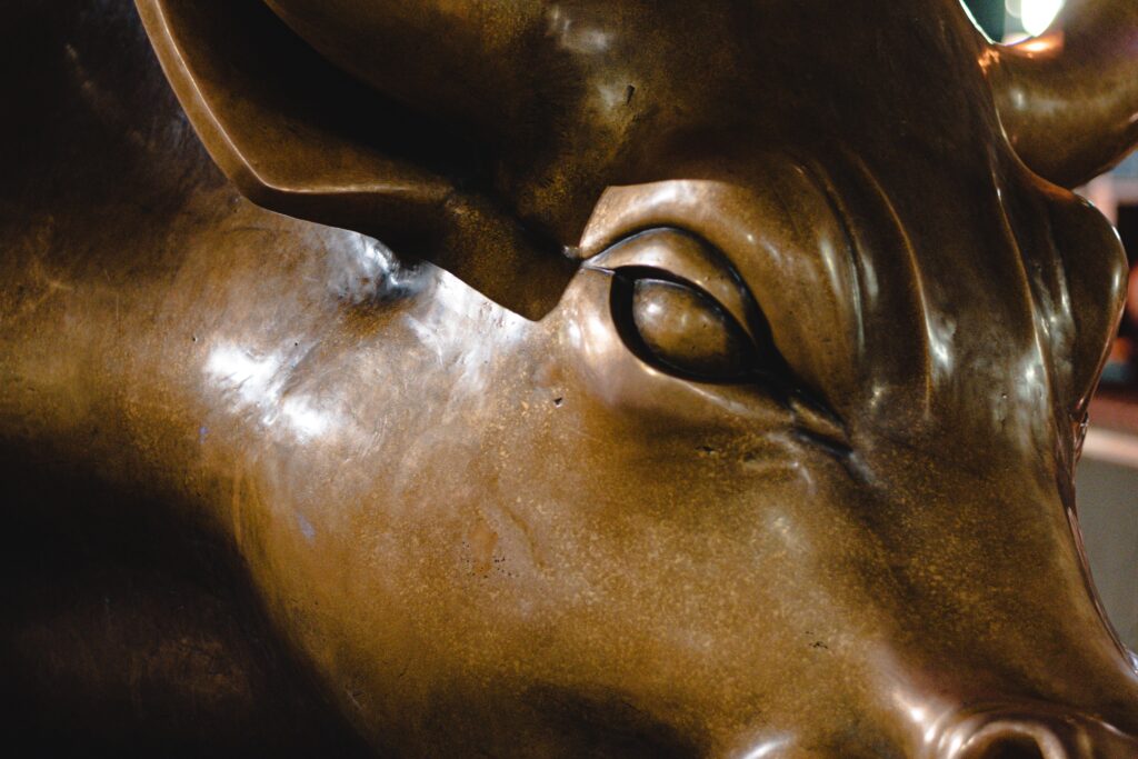 El Toro de Wall Street… el Toro de Nueva York ¡No te Puedes ir sin Tocarle los Testículos!