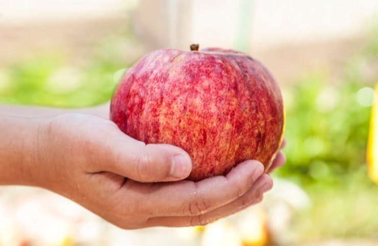 ¿Por qué le llaman a Nueva York, «La Gran Manzana»