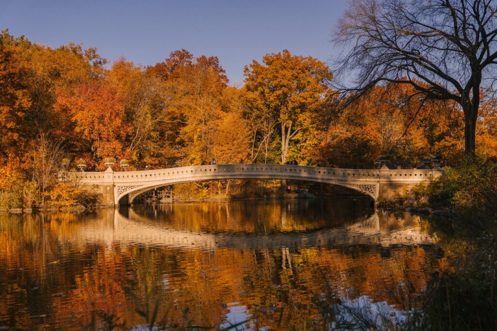 El Bow Bridge, una cita romántica en el Central Park