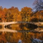 El Bow Bridge, una cita romántica en el Central Park