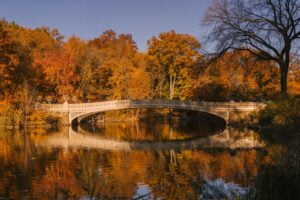 El Bow Bridge, una cita romántica en el Central Park