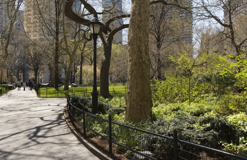 Explorando a Fondo el Central Park