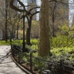Cómo los jardines comunitarios y los espacios verdes están transformando los barrios en Nueva York