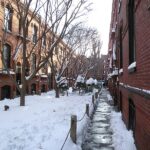Warren Place Mews