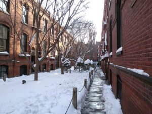Warren Place Mews