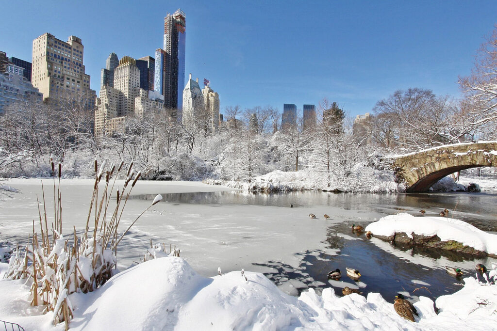 Los Jardines Secretos de Nueva York: Oasis Urbanos en la Jungla de Concreto