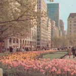 grand-army-plaza-new-york