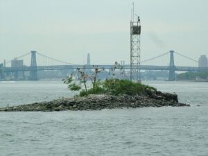 U Thant Island: El Secreto Mejor Guardado de Nueva York