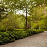 gramercy-park
